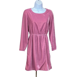 Women’s J. Crew Factory‎ Velvet Dress